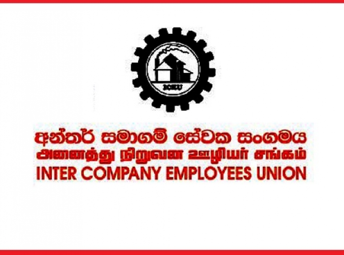 කොරෝනා එන්නත් වැඩපිළිවෙළ අවුල් ජාලාවක් වෙලා