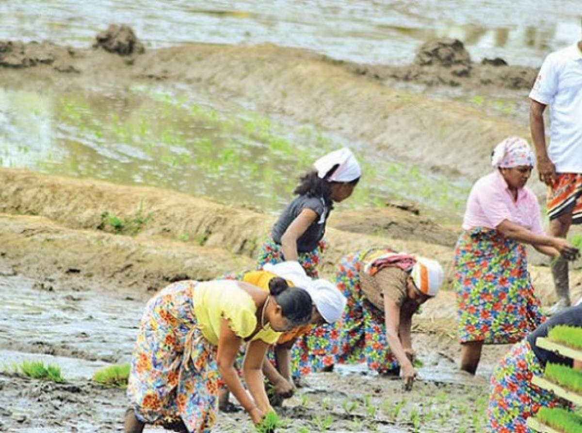 women-in-agriculture
