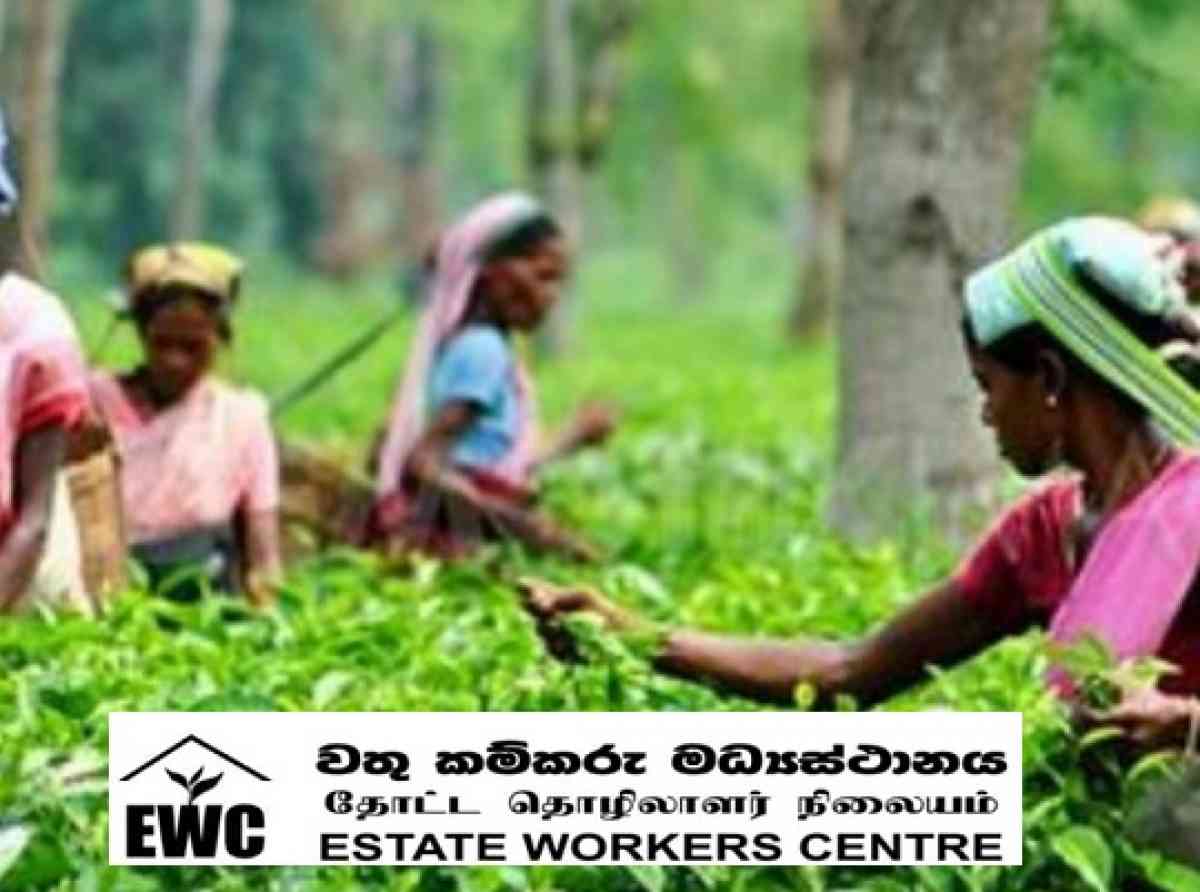 estate-workers-centre-ewc