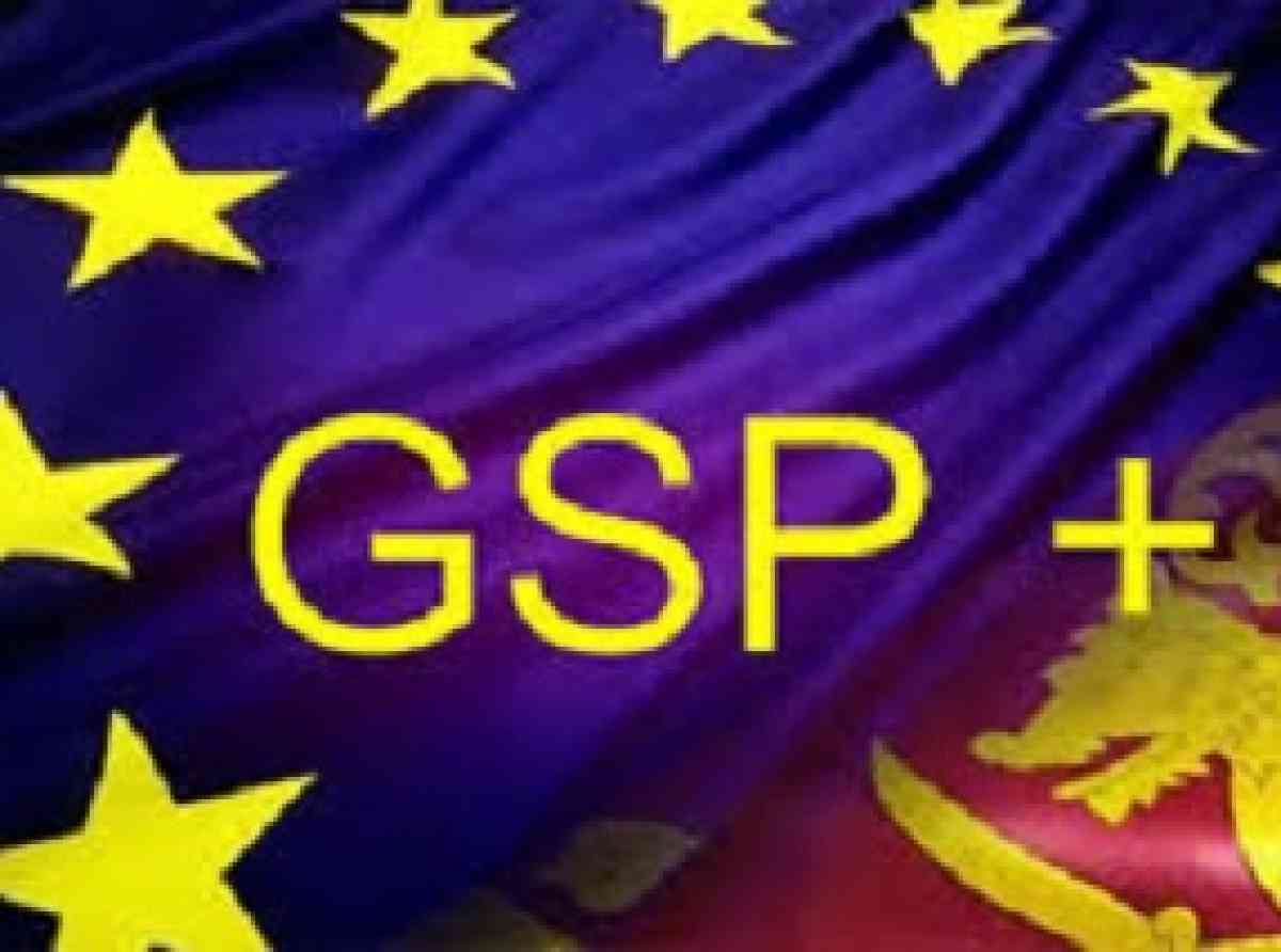 GSP+