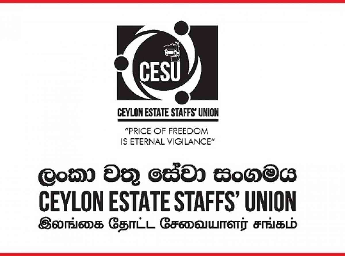 "නිව්ස් ෆස්ට්" මාධ්‍යවේදීන්ට සිදු කළ අමානුෂික පහරදීම තරයේ හෙලා දකිමු - CESU