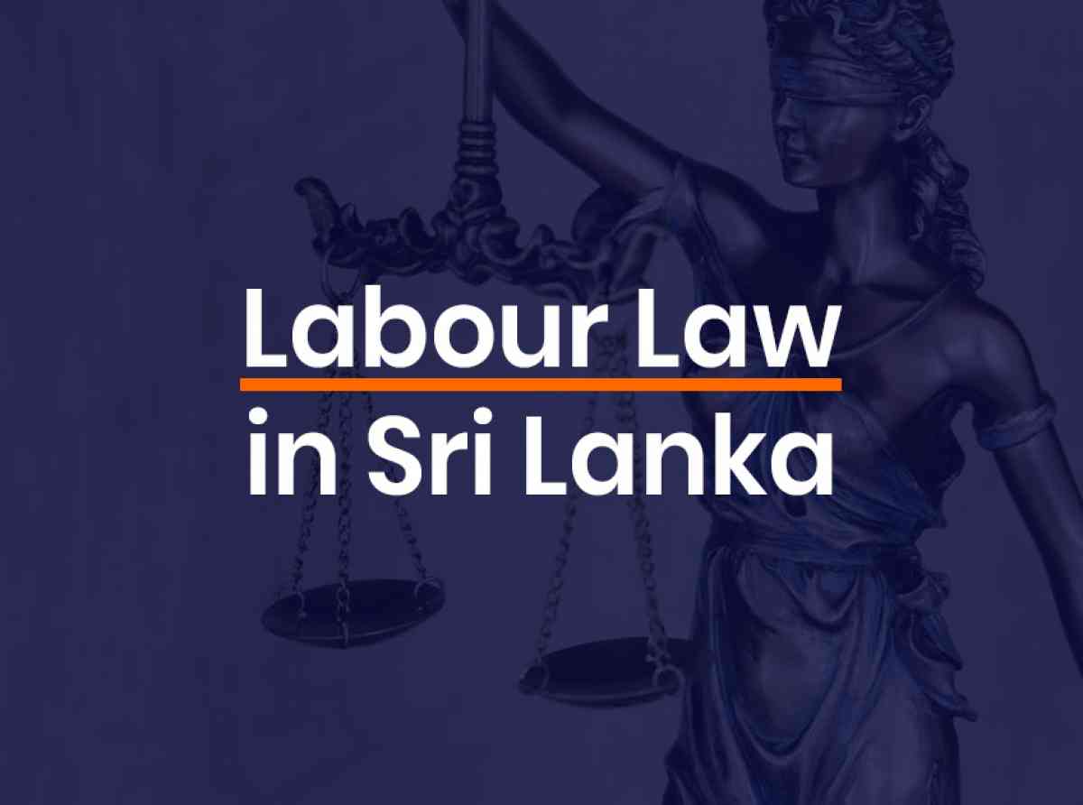 ජනමත විමසුමකින් තොරව 'අලුතින් කම්කරු නීති ගේන්න එපා