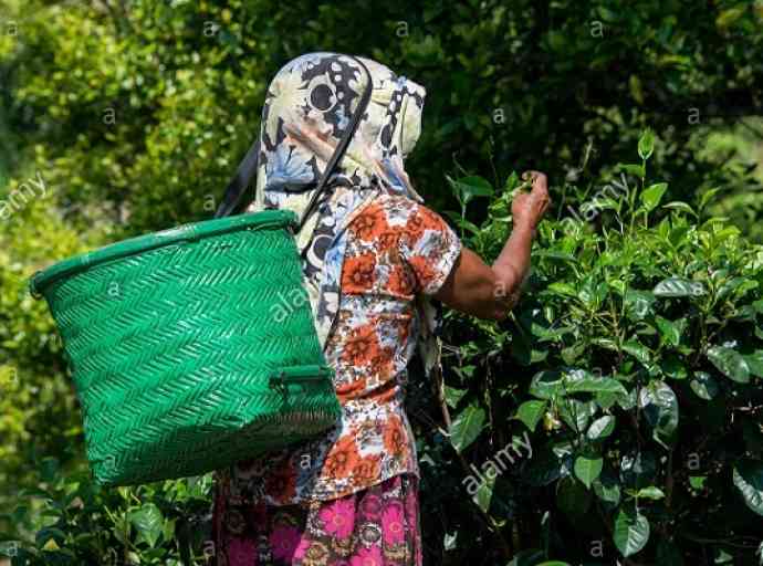 කඳුරට දෙමළ ජනතාව සමාජයට පූර්ණ වශයෙන් ඒකාබද්ධ කිරීමට වැඩසටහනක්