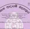 වාහන ආදායම් බලපත්‍ර පද්ධතිය ක්‍රියා විරහිත වෙයි - ICTA