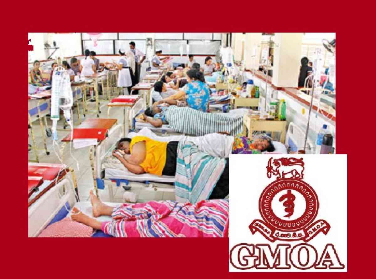 GMOA