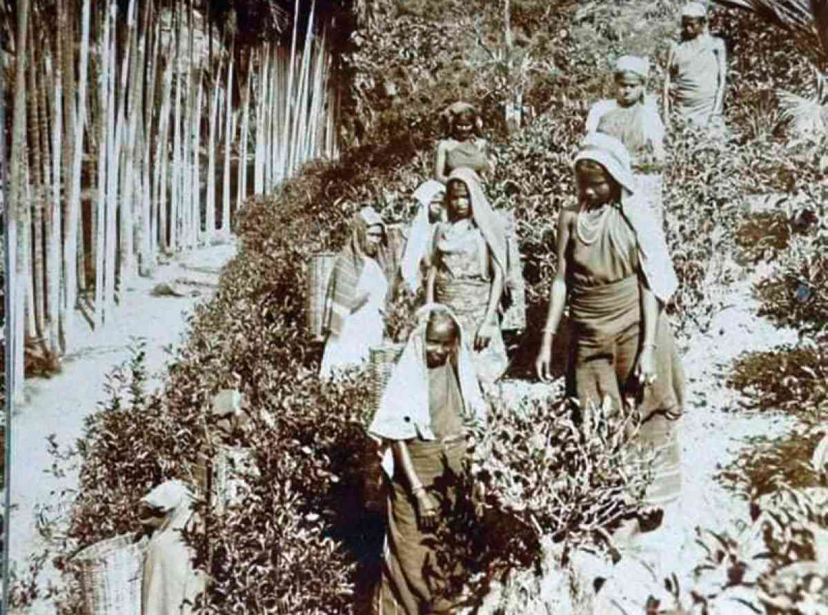 වතු කම්කරු වැටුප් වැඩිවීම;  හාම්පුතුන්ගෙන් විෂම සැලකිල්ලක්,ආණ්ඩුවෙන් සහනයක්, විපක්ෂයෙන් විරෝධයක්