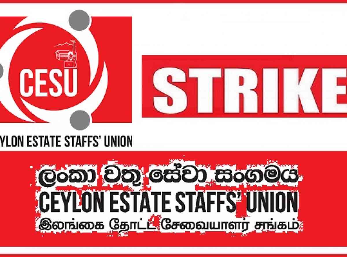 cesu-union-strick