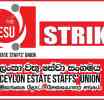 වෙනස්කොට සැළකීමට එරෙහිව ආර්පිකෝ වතු කාර්ය මණ්ඩල අඛණ්ඩ වැඩ වර්ජනයක