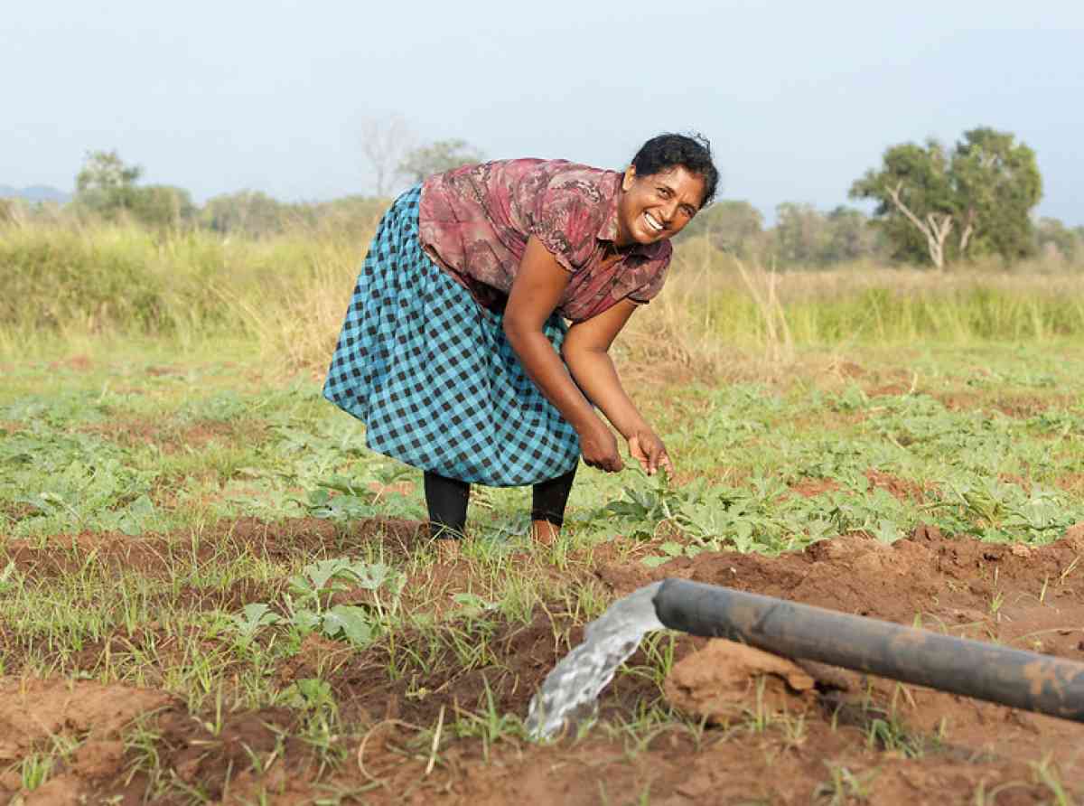 කෘෂිකාර්මික ආහාර පද්ධතිවල කාන්තාවන්ගේ තත්ත්වය හා කාර්යභාරය, ගැටලු සහ විසඳුම්