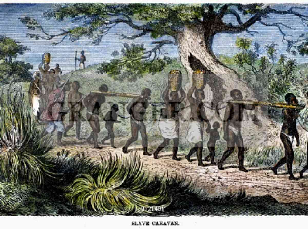 එක්සත් ජාතීන්ගේ මහා මණ්ඩලයේ ඓතිහාසික යෝජනාව: වහල් වෙළඳාම ‘මානව වර්ගයාට එරෙහි දරුණුතම අපරාධය’ ලෙස නිල වශයෙන් ප්‍රකාශයට පත් කෙරේ