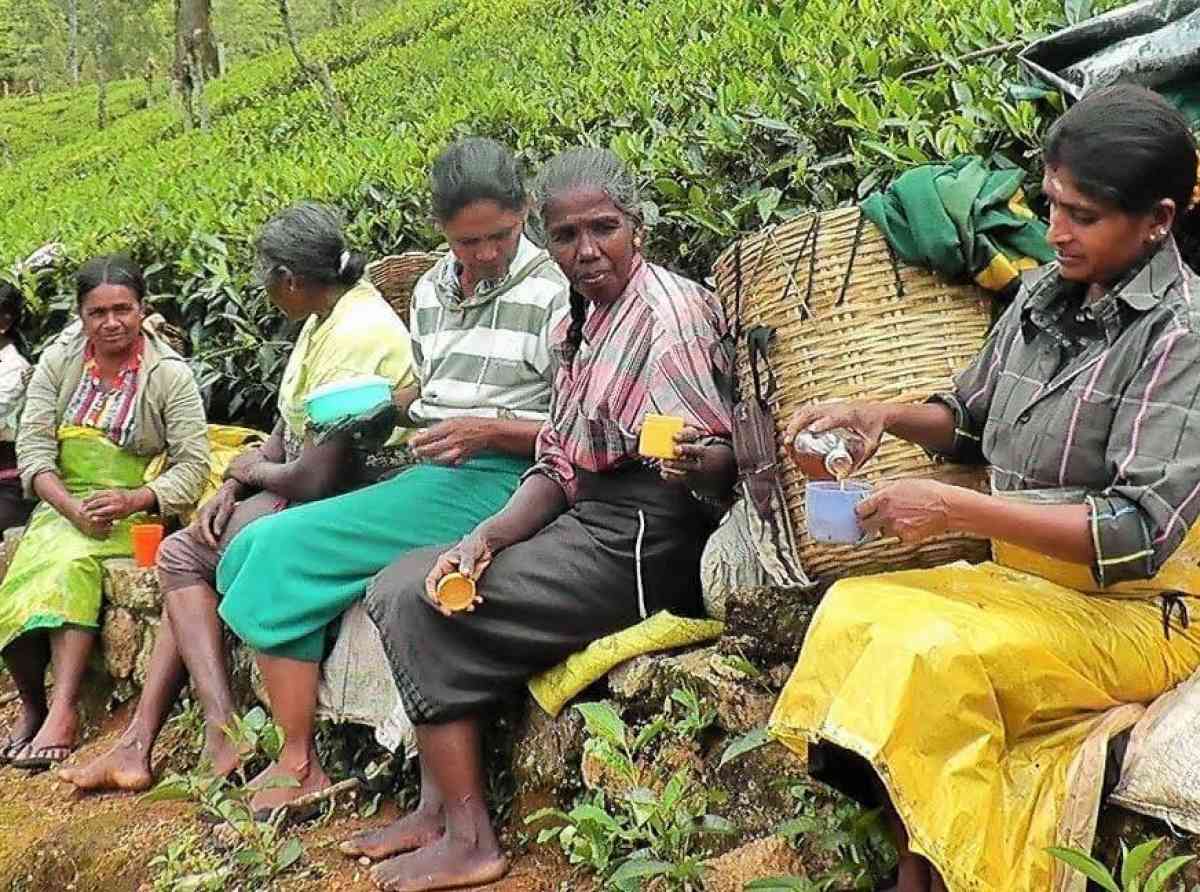 වතුකරයේ මලෛයහ දෙමළ ජනතාව තවමත් යටත් විජිත යුගයේ බව ජාත්‍යන්තර වාර්තාවකින් හෙළිවේ
