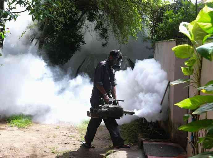 dengue