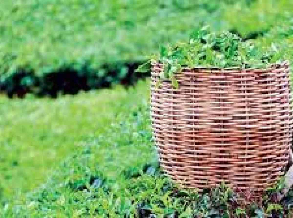 තේදළු කිලෝවකට කම්කරු ශ්‍රමය වෙනුවෙන් ඉහළම මිලක් ගෙවන රට ශ්‍රී ලංකාවයි – ආචාර්ය සුධාරක ආරියරත්න