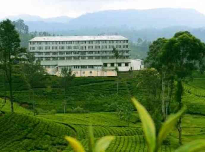 tea-plantation-factory
