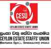 කුඩා පරිමාන වතුවල කාර්ය මණ්ඩල වෙනුවෙන් පඩි පාලක සභාවන් පිහිටුවන්න - CESU